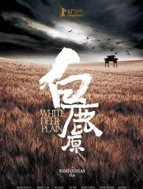 摩尔多瓦公用事业账单模板